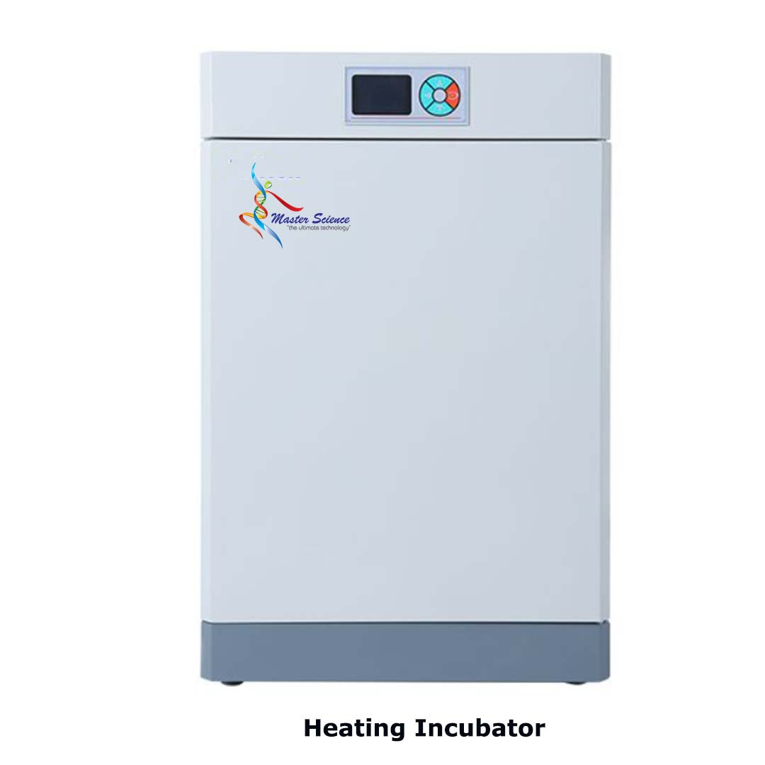 Heating Incubator: Precision Temperature Control Incubator – 50L Capacity-RT+5-65°C Range