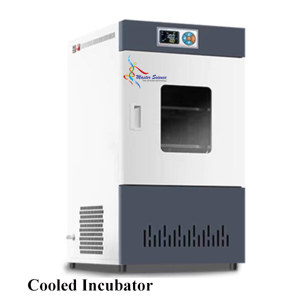 Cooled Incubator, 50L, Range: 0-75°C